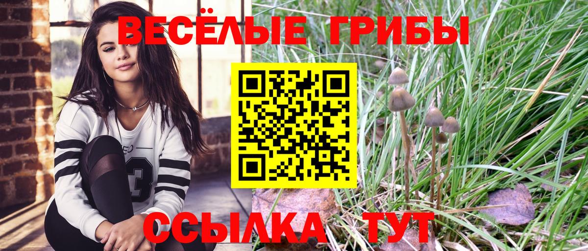 Псилоцибиновые грибы GOLDEN TEACHER Нижнекамск